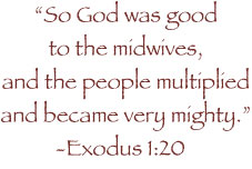 Exodus 1:20